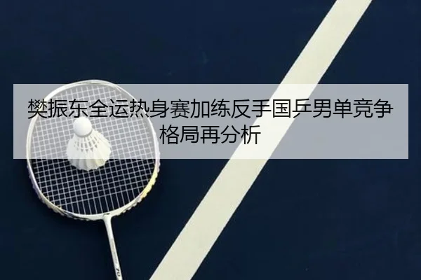 樊振东全运热身赛加练反手国乒男单竞争格局再分析